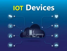 IoT: Meaning, Devices, and Network – What We Know